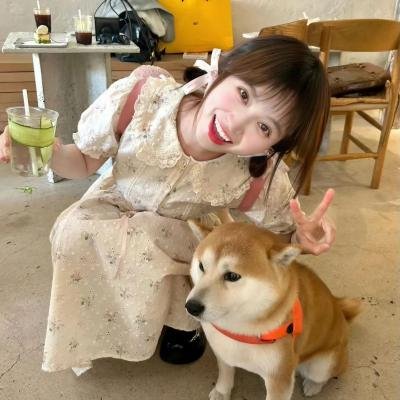 港湾第一季 在线观看