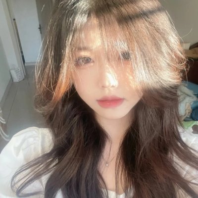 他们杀害了朵瑞西修女 在线观看